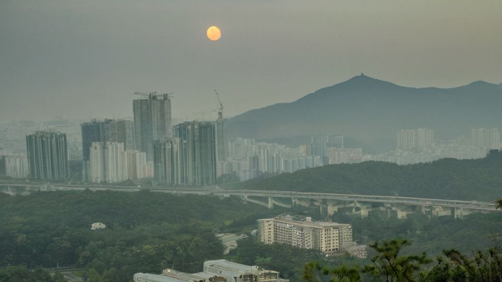 微微一笑很倾城的陈晓从中央戏剧学院到农村公益的逆袭之路