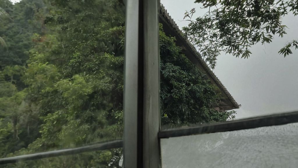 网络主播巧妙结合明星直播带你领略娱乐圈的笑果与真相对比疯狂吃瓜场面