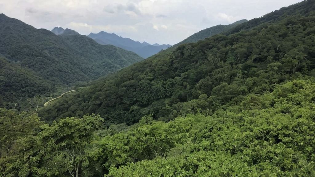 当红明星在拍摄公益活动中亲自前往贫困山区，享受温馨家庭时光与羊羊外婆共享家庭温情
