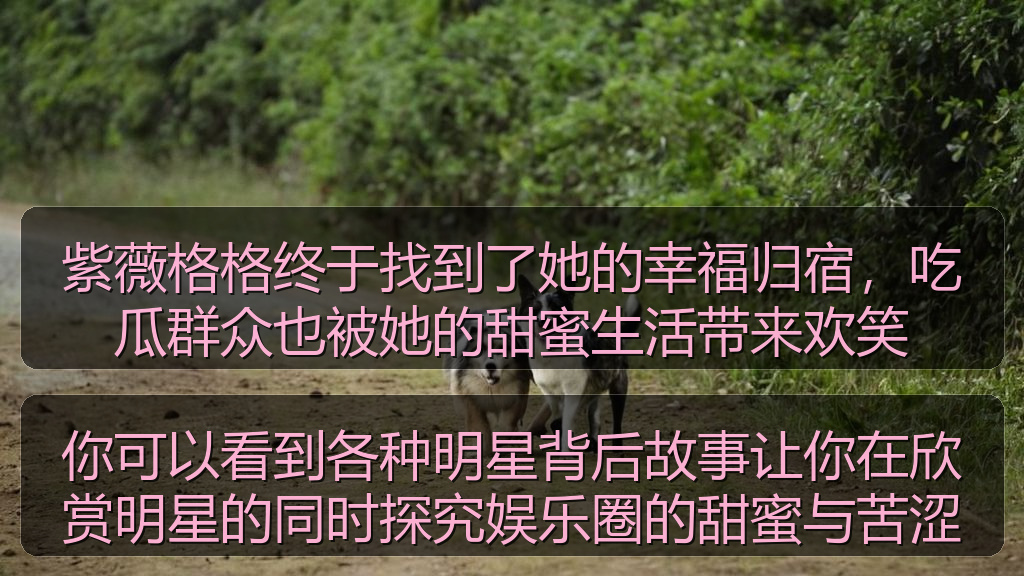 紫薇格格终于找到了她的幸福归宿，吃瓜群众也被她的甜蜜生活带来欢笑