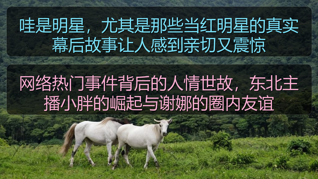 哇是明星，尤其是那些当红明星的真实幕后故事让人感到亲切又震惊