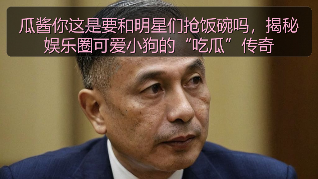 瓜酱你这是要和明星们抢饭碗吗,揭秘娱乐圈可爱小狗的“吃瓜”传奇
