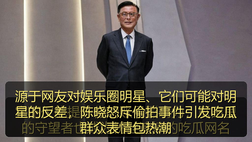 源于网友对娱乐圈明星、它们可能对明星的反差，陈晓怒斥偷拍事件引发吃瓜群众表情包热潮