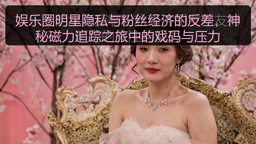 娱乐圈明星隐私与粉丝经济的反差，神秘磁力追踪之旅中的戏码与压力
