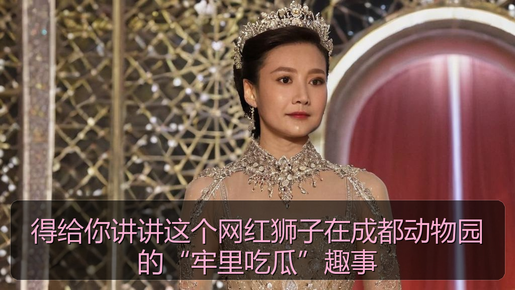 得给你讲讲这个网红狮子在成都动物园的“牢里吃瓜”趣事