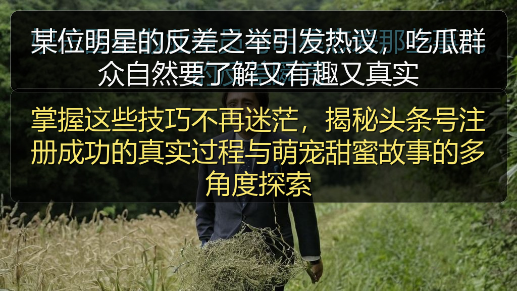 掌握这些技巧不再迷茫,揭秘头条号注册成功的真实过程与萌宠甜蜜故事的多角度探索
