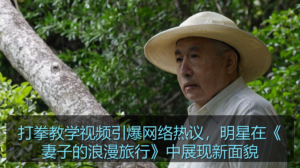打拳教学视频引爆网络热议,明星在《妻子的浪漫旅行》中展现新面貌