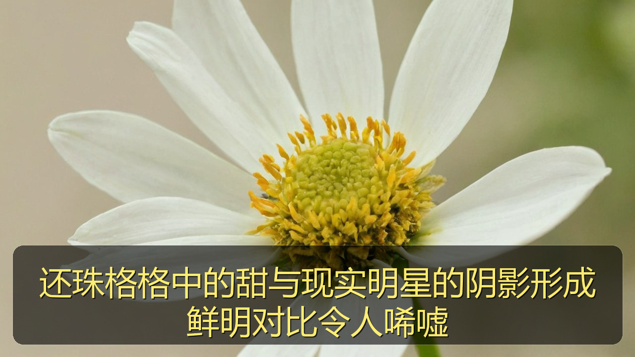 还珠格格中的甜与现实明星的阴影形成鲜明对比令人唏嘘